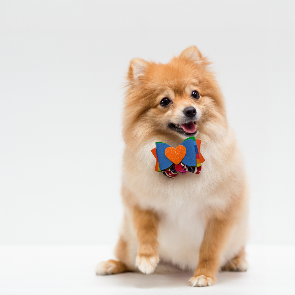 Sparky & Co Rainbow Pride Bow Collection Handmade Collar Charm