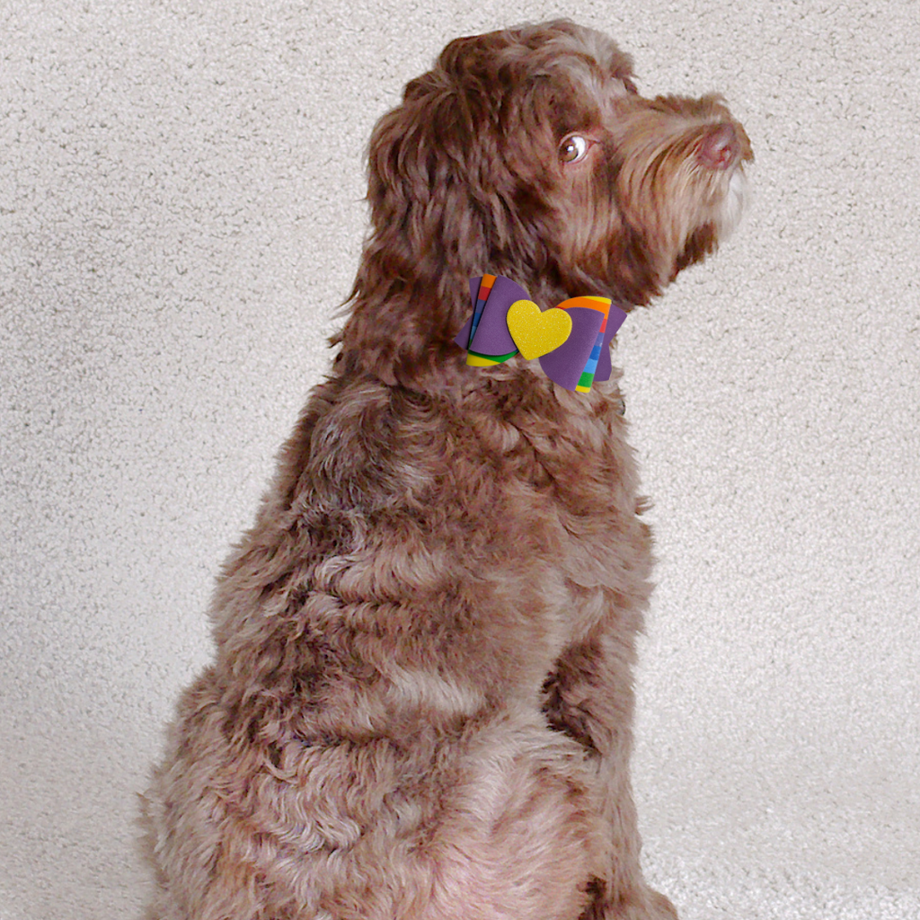 Sparky & Co Rainbow Pride Bow Collection Handmade Collar Charm